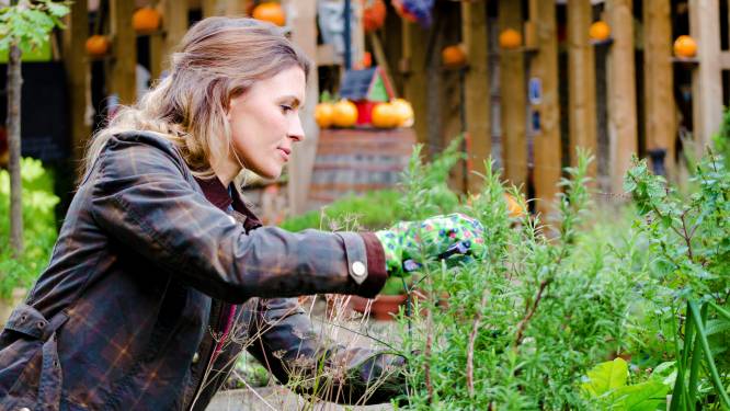 Maak je tuin lenteklaar: deze klussen voer je uit in maart