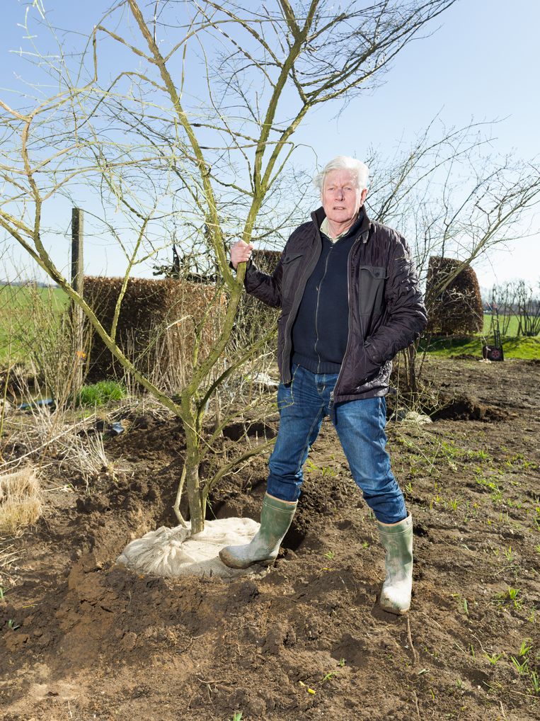 Tuinarchitect Piet Oudolf blijft ontwerpen tot de laatste snik ‘De