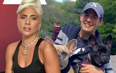 Hondenuitlater Lady Gaga blikt terug op schietpartij: “Ik had maar één doel voor ogen: de hondjes veilig thuis krijgen”