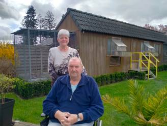 Jean (77) en Suzanna (75) moeten hun vergunde duiventil afbreken na klacht van boze buur: “Kunnen ze toch moeilijk een pamper omdoen?”