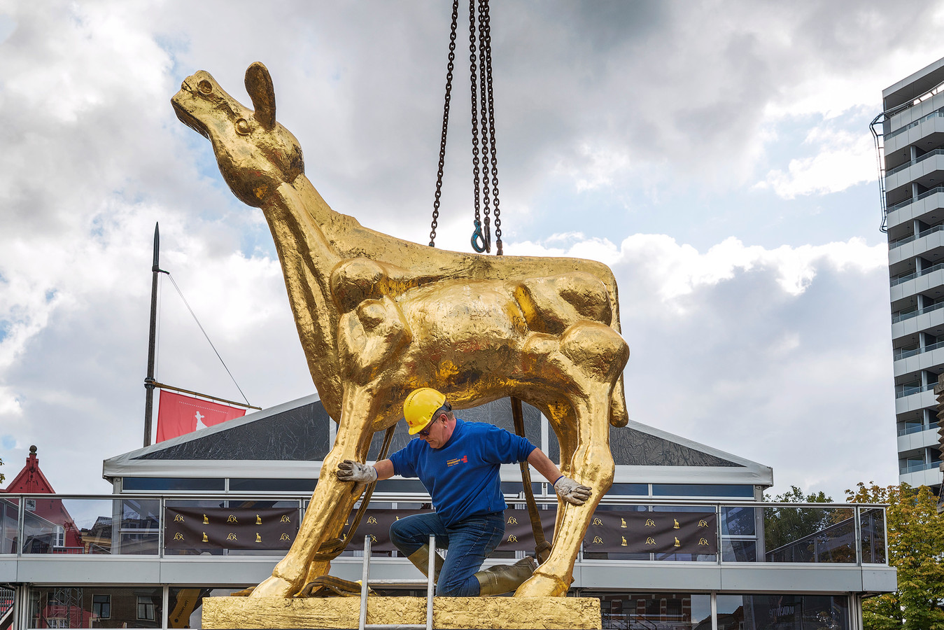 Beeld Gouden Kalf gaat op tournee door Nederland Foto AD.nl