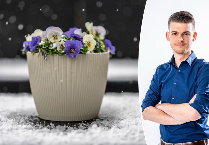 Wetenschapsexpert Martijn Peters