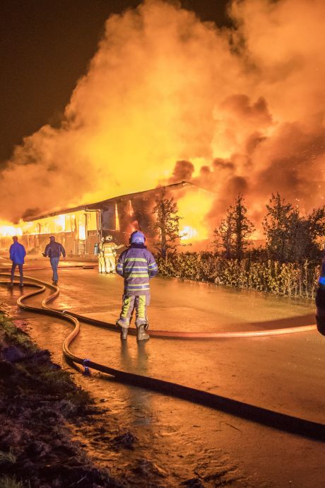 ‘Nieuw onderzoek nodig naar serie verwoestende branden op boerderij van boer Gert’