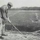 Schapen graasden op de course waar het eerste internationale golftoernooi in Nederland werd gespeeld
