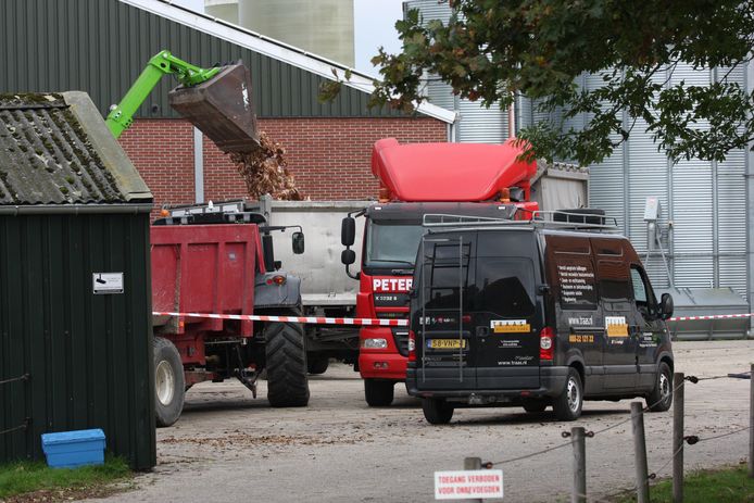 Vogels worden geruimd tijdens een eerdere uitbraak in Sint Philipsland