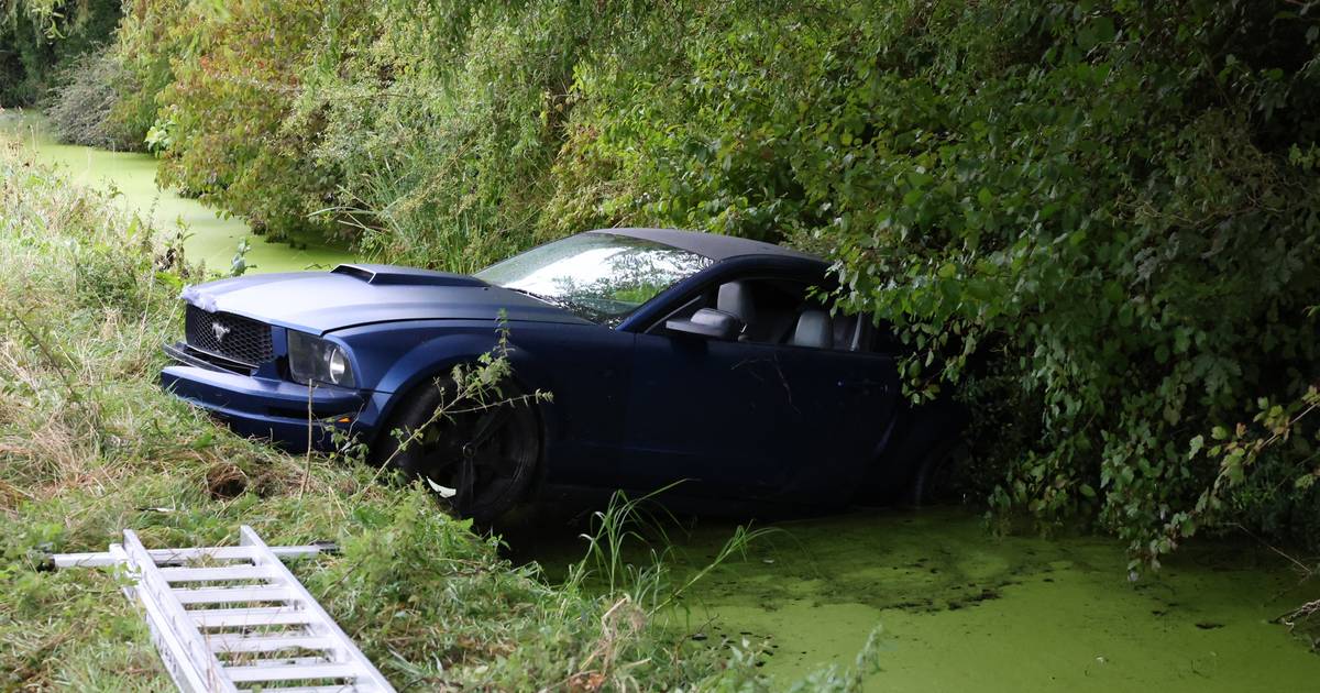 Mustang komt in sloot terecht langs Molenlaan in Honselersdijk