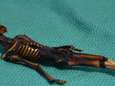 Raadsel opgelost: vreemde mini-mummie is dan toch geen alien