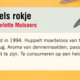 Humo's zomerleesvoer (2): 'Rachels Rokje', de weergaloze woordenstorm van Charlotte Mutsaers