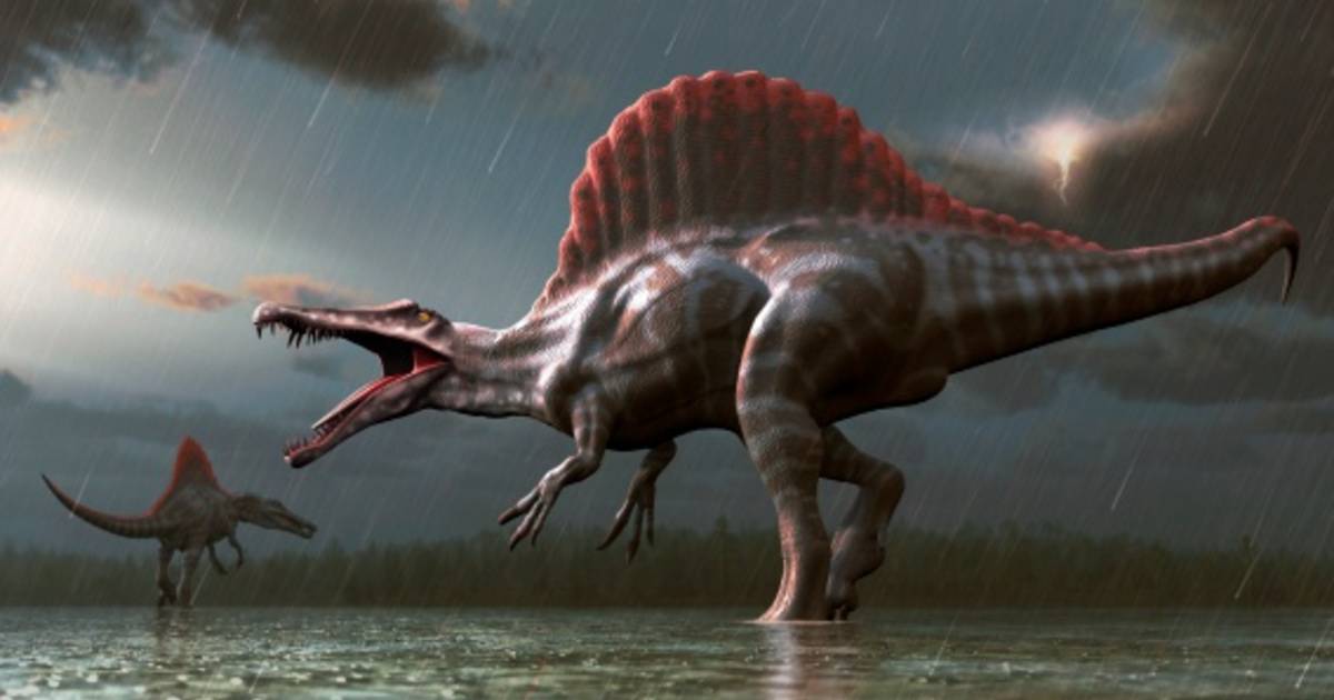 Impresionante descubrimiento: un nuevo dinosaurio gigante desenterrado en España |  Ciencia y Planeta