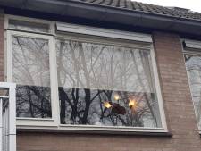 Waalwijkse vrouw gewond nadat Tilburger haar ruit ingooit