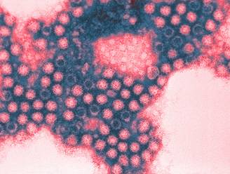 Eind dit jaar een vaccin tegen het coronavirus? Welnee