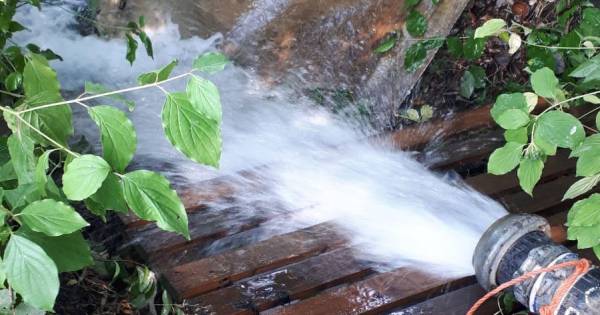 De waterpompen werken, hoop op behoud van de beekprik in de Reusel