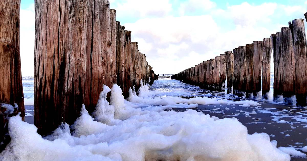 Met elke hap zeeschuim krijg je PFAS binnen, ook in Zeeland