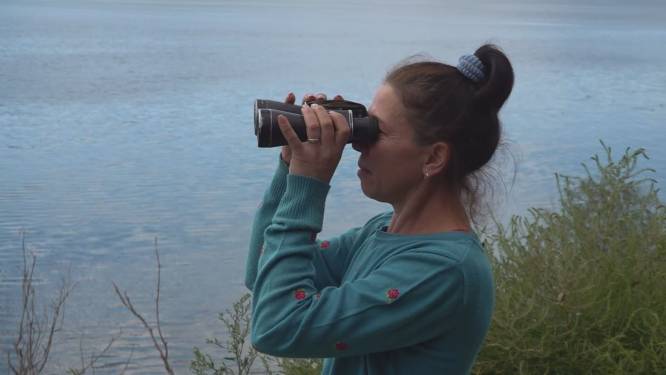 Deze mensen wonen vlak bij de kerncentra­le in Zaporizja: "Als ze ontploft, is alles weg”