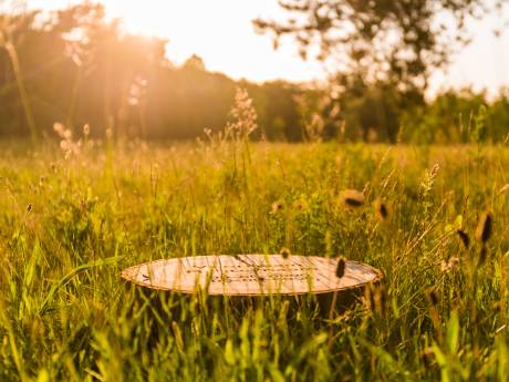 4000 plaatsen voor natuurbegraven in Hooge Heide