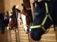 Veertig paarden in Arnhemse stal ziek: 'Dit is vreselijk'