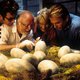 10 films die u deze week absoluut moet zien