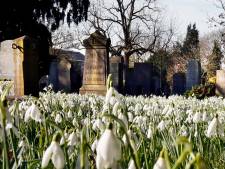 Speuren naar waardevolle graven in Gorinchem