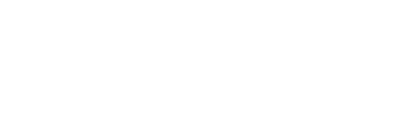 Le fabuleux marché de Noël