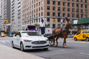 Paardentrams, taxi's, voetgangers en ongeduldige automobilisten: New York is een uitdagende plek voor een zelfrijdende auto.