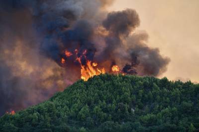 Inwoners van Grieks dorp geëvacueerd wegens bosbrand