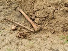 Lugubere vondst op begraafplaats Gouda: botten steken uit het zand na ruimen graf: ‘Pijnlijk raadsel’