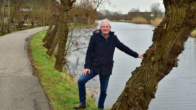 Honderd kerngezonde wilgen langs Vlist tegen de vlakte: ‘Uniek landschap wordt onnodig aangetast’