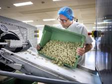 Nederlandse BenBits troeft multinational Mentos af: weg vrij voor ‘plasticvrije’ kauwgom