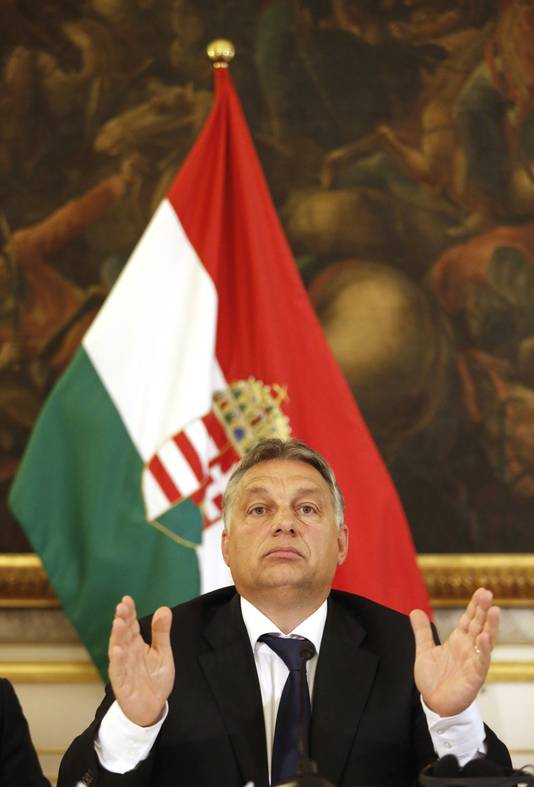 afp