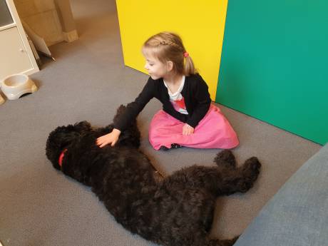 Elsa is geen schoothond, maar een schoolhond: ‘hulpjuf’ springt bij voor troost