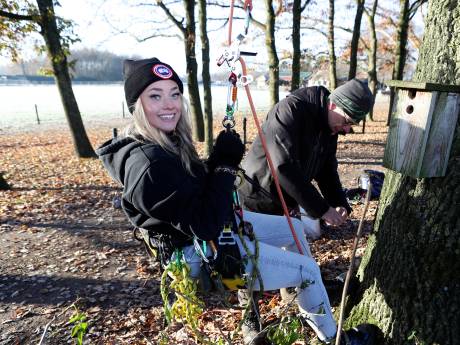 Chirurg in het bos? Rinus (48) is het, en Danique krijgt een inkijkje in zijn werk: ‘Jij kan zo ook de boom in’