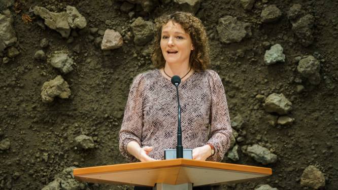 Kamermeerderheid wil plafond van ton voor giften aan partijen