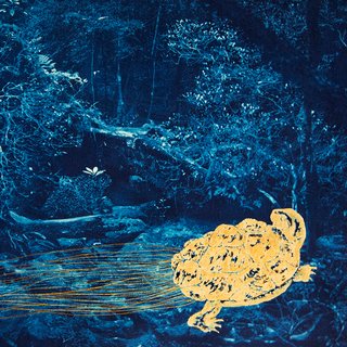Amsterdam artist Anaïs Lopez traveled to Japan eight times in seven years in obsessive search for a golden turtle