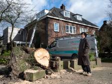 Zomaar een boom op je huis: ‘Ik ben vooral zó blij dat er geen dode is gevallen’