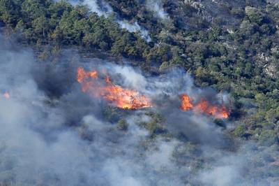 Bijna 140 mensen geëvacueerd vanwege bosbrand in Catalonië, niet ver van Franse grens