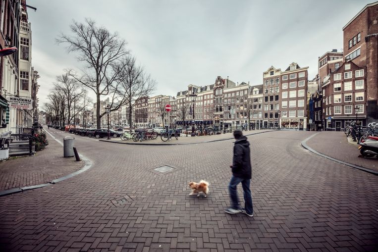 The Beauty Of Silence Het Parool
