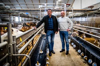 Over iets meer dan een jaar moet hun stal verbouwd zijn, de vraag is hoe dan?