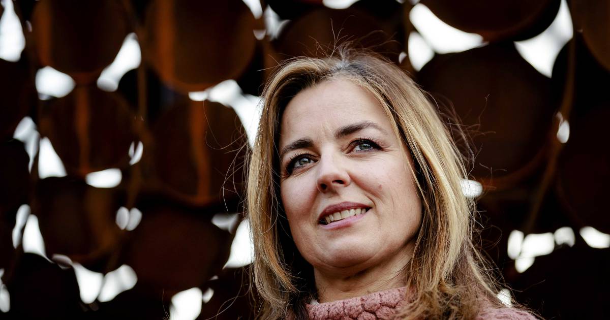 Genieten van de kandidatenlijst: Grappig dat Pool en Deen meedoen voor de PVV van Wilders