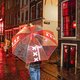 Het eerste verantwoorde bordeel, My Red Light, bleek nog te veel gevraagd