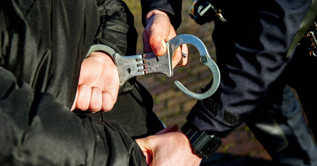 Drie Rotterdammers opgepakt voor vechtpartij op Schouwburgplein .