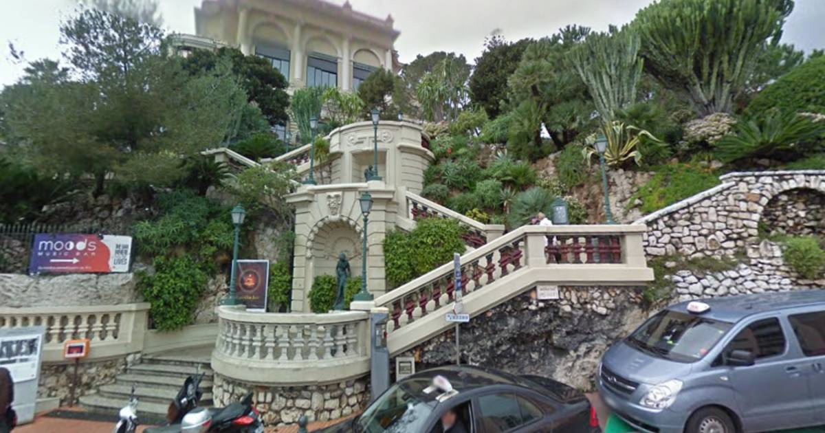 Brabanders overleven bizar cactusongeluk in Monaco: Gelukkig had ie geen stekels.