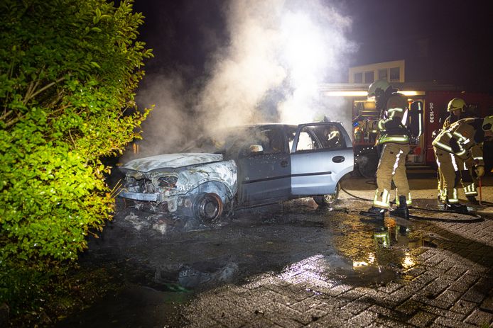 Een auto aan de Rietbergsmate in Zwolle ging in de nacht van zondag op maandag in vlammen op.