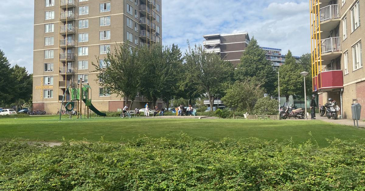 Bewoners luiden noodklok: ‘Meerzicht verandert in een getto’ | Zoetermeer