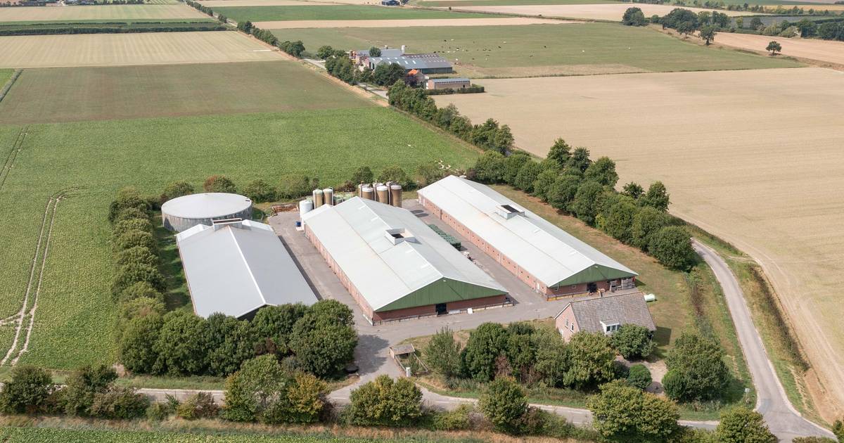 Varkensbedrijf bij Baarland mag uitbreiden, maar niet iedereen ziet dat zitten