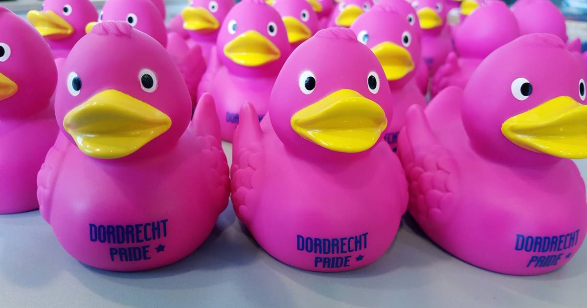 invoegen Laptop Honger Roze badeend vliegt de winkel uit | Dordrecht | AD.nl