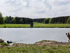 Amsterdamse Bos kampt met achterstallig onderhoud en te weinig budget: ‘Structureel meer nodig’