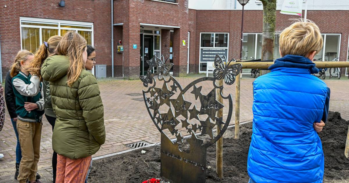 Familie teleurgesteld over straf voor doodrijder Oud Gastel ‘Dit is