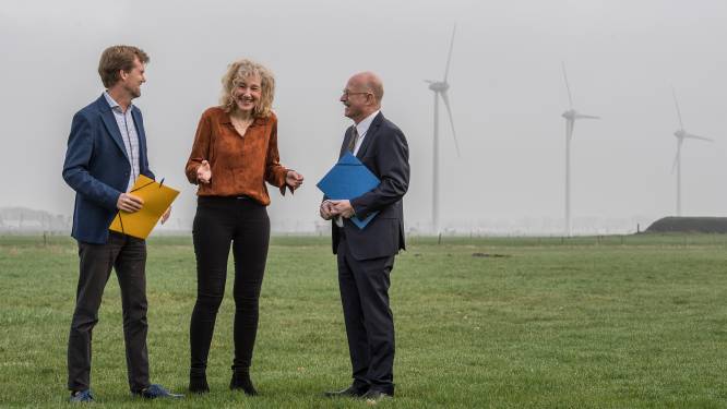 Buren gaat nu tóch meepraten over Energiepark A15
