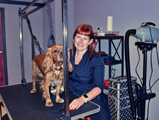 NET OPEN. Nathalie (40) maakt droom waar met eigen hondentrimsalon Woof & Go: “Groot of klein, alle honden zijn hier welkom”