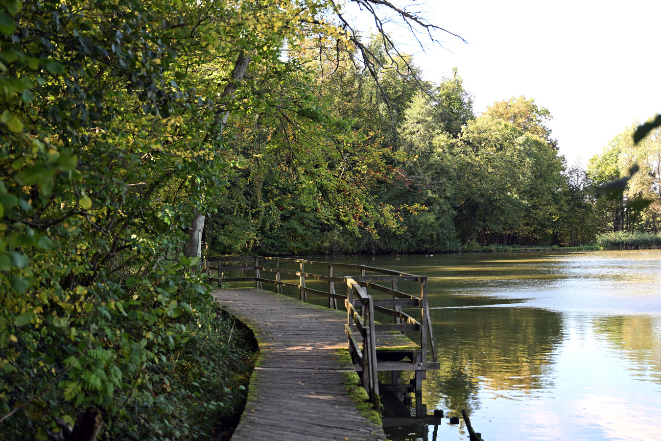 Opnieuw stapje dichter Nationaal Park Brabantse Wouden “Surplus voor natuur, cultuur én